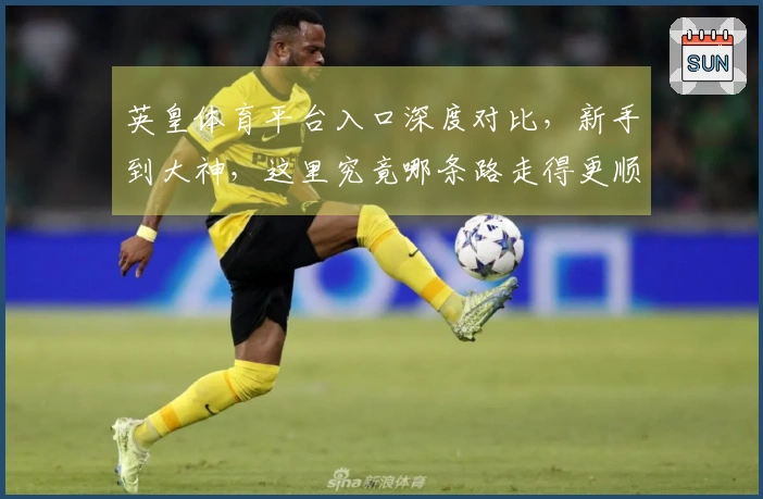 英皇体育平台入口深度对比，新手到大神，这里究竟哪条路走得更顺？