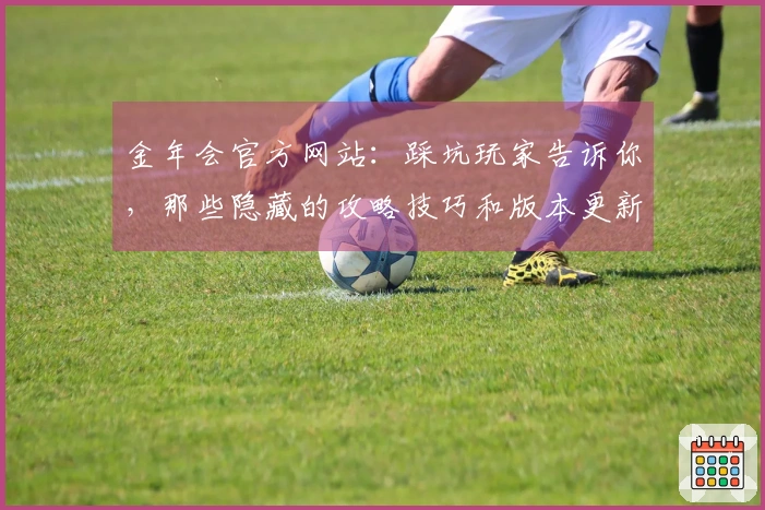 金年会官方网站：踩坑玩家告诉你，那些隐藏的攻略技巧和版本更新中的陷阱