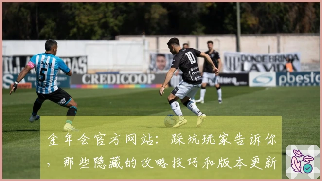 金年会官方网站：踩坑玩家告诉你，那些隐藏的攻略技巧和版本更新中的陷阱