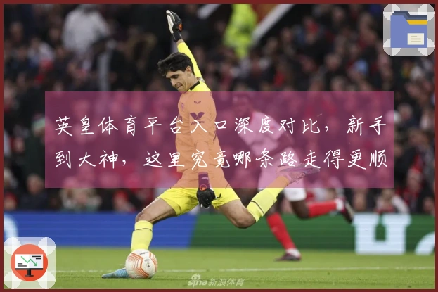 英皇体育平台入口深度对比，新手到大神，这里究竟哪条路走得更顺？