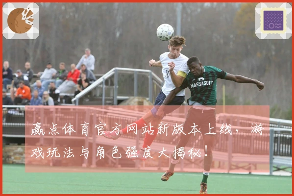 赢点体育官方网站新版本上线，游戏玩法与角色强度大揭秘！