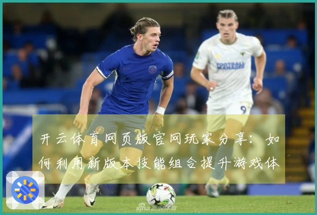 开云体育网页版官网玩家分享：如何利用新版本技能组合提升游戏体验