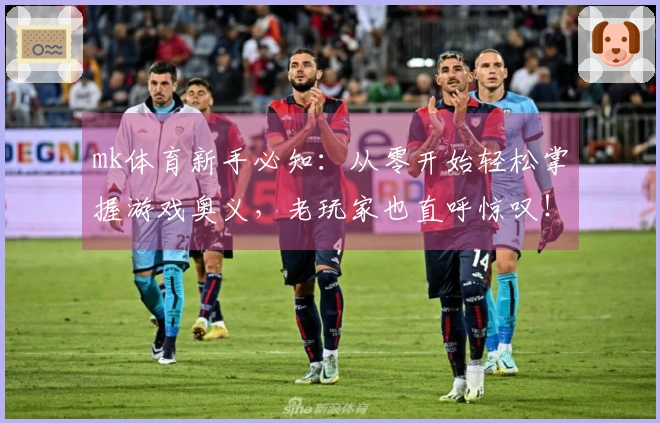 mk体育新手必知：从零开始轻松掌握游戏奥义，老玩家也直呼惊叹！